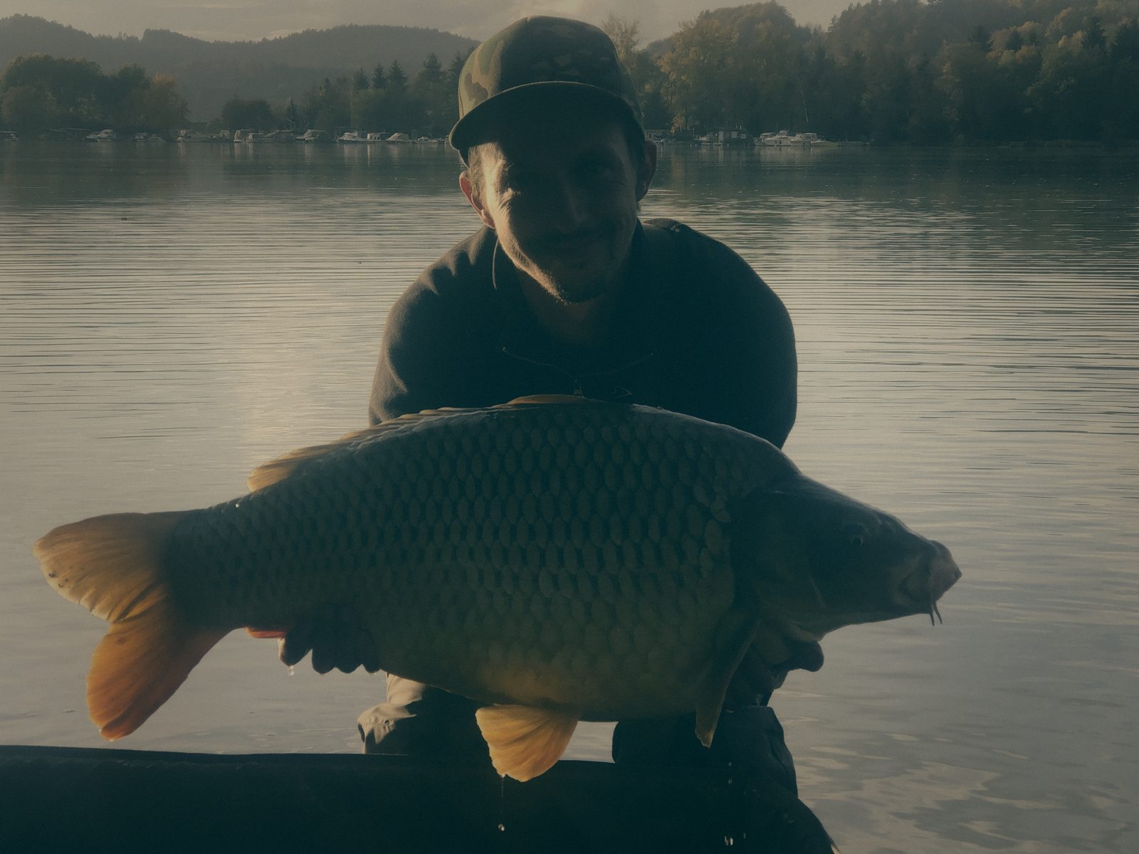 Styria Carp