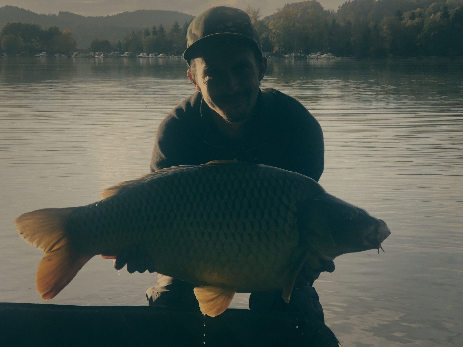 Styria Carp