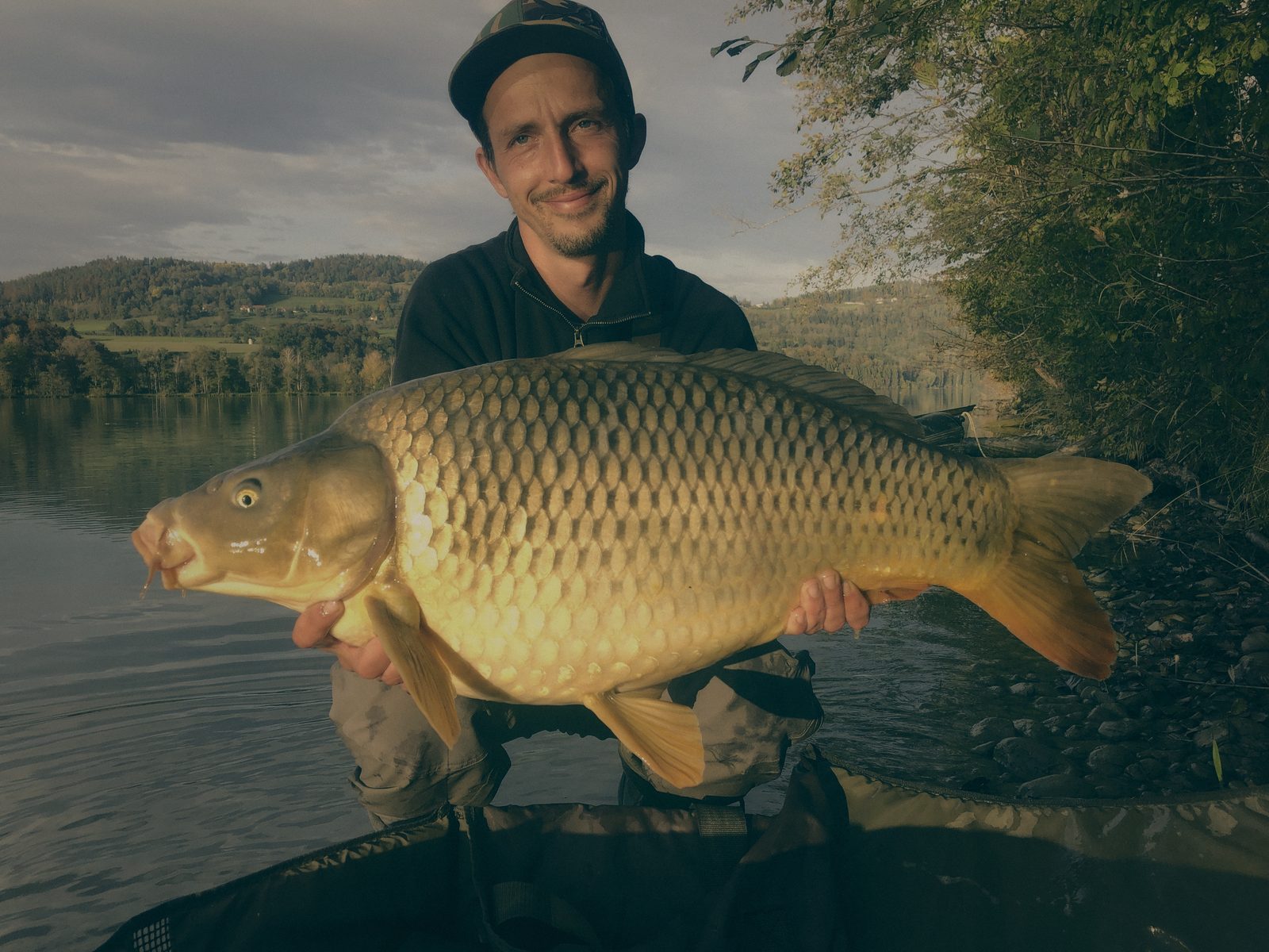 Styria Carp