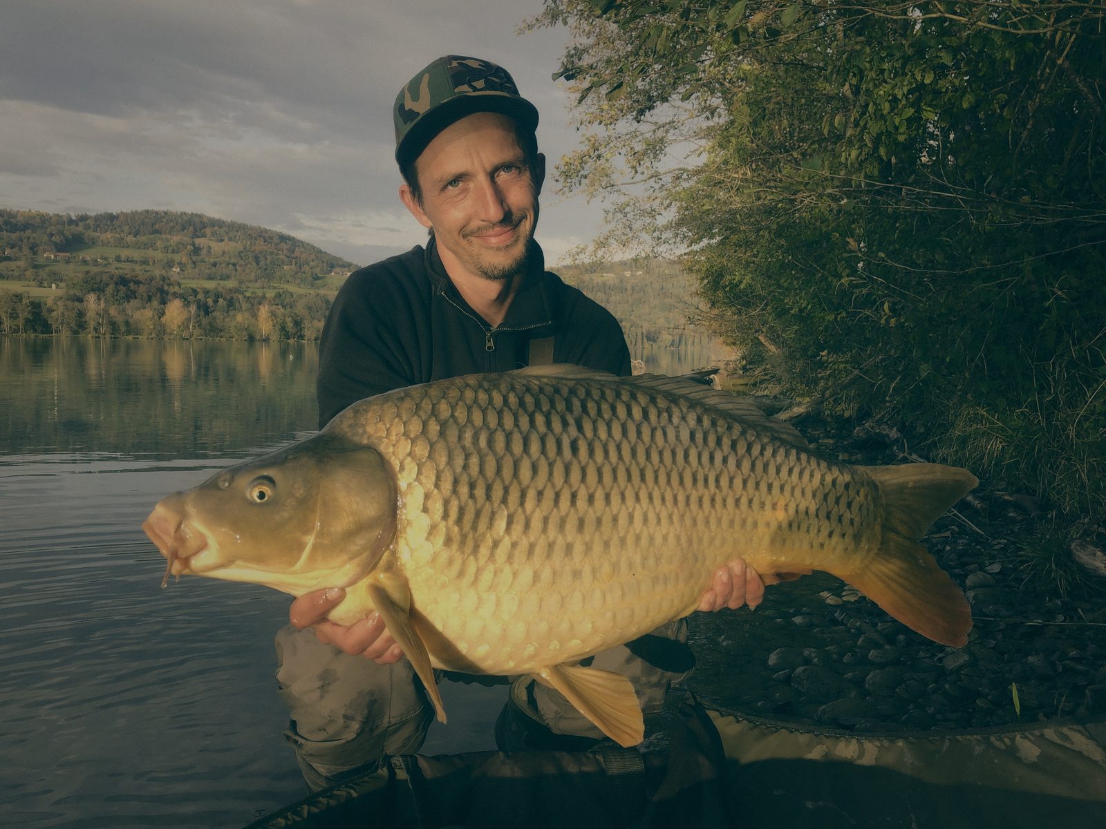 Styria Carp