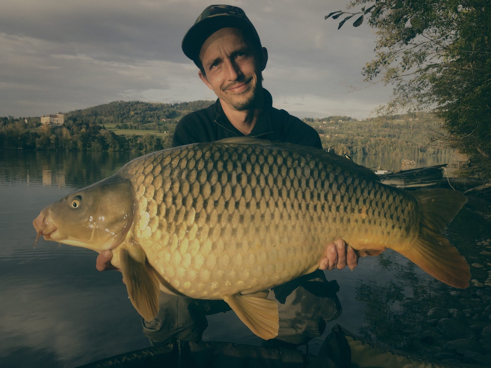 Styria Carp