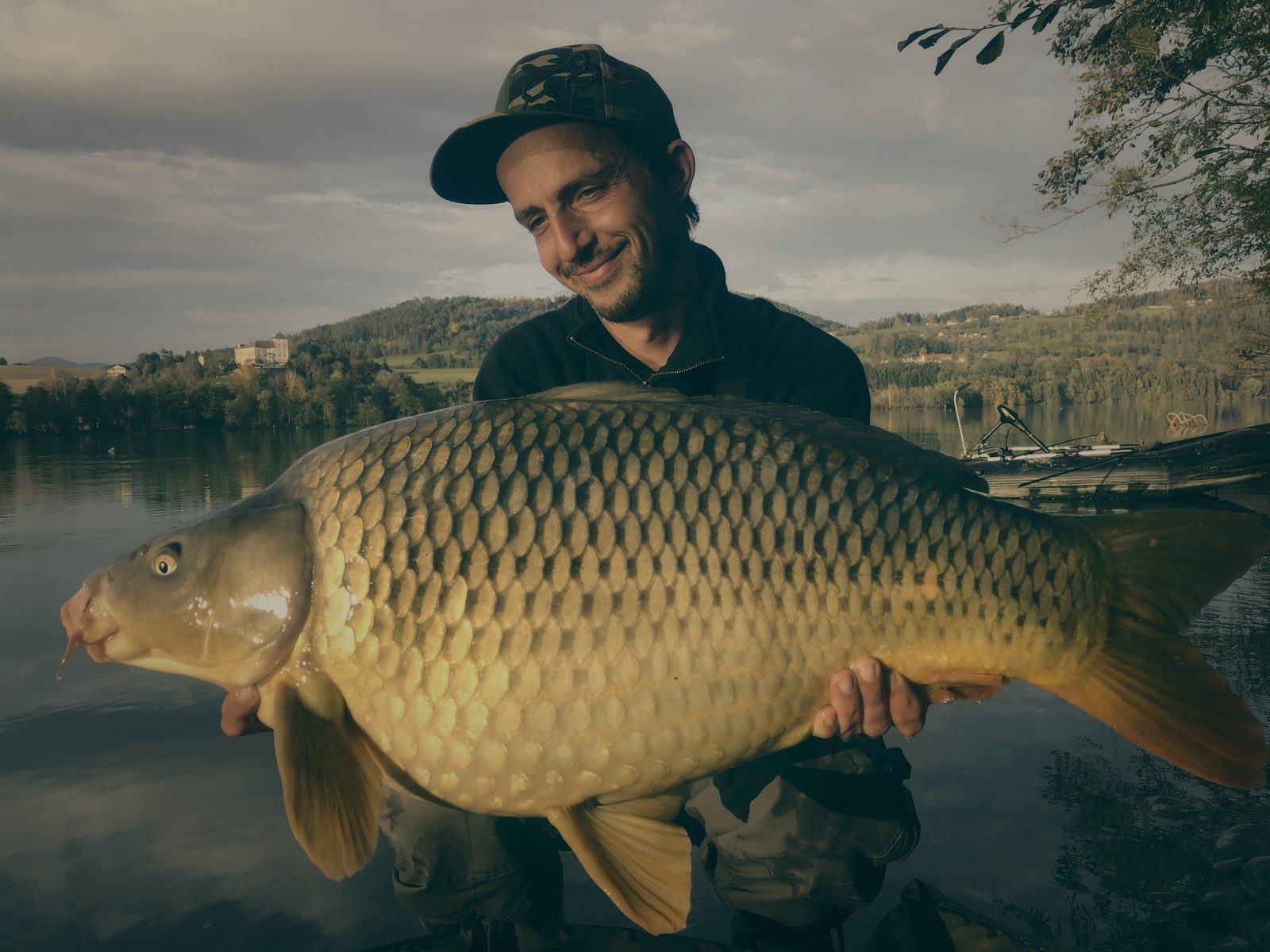 Styria Carp