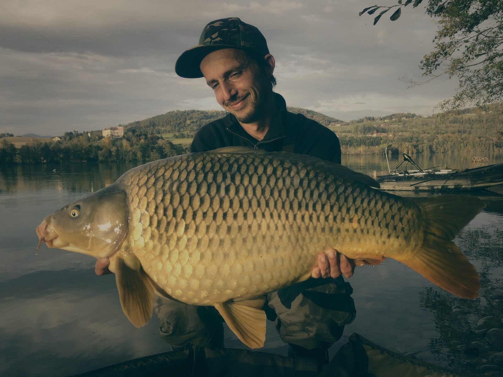 Styria Carp