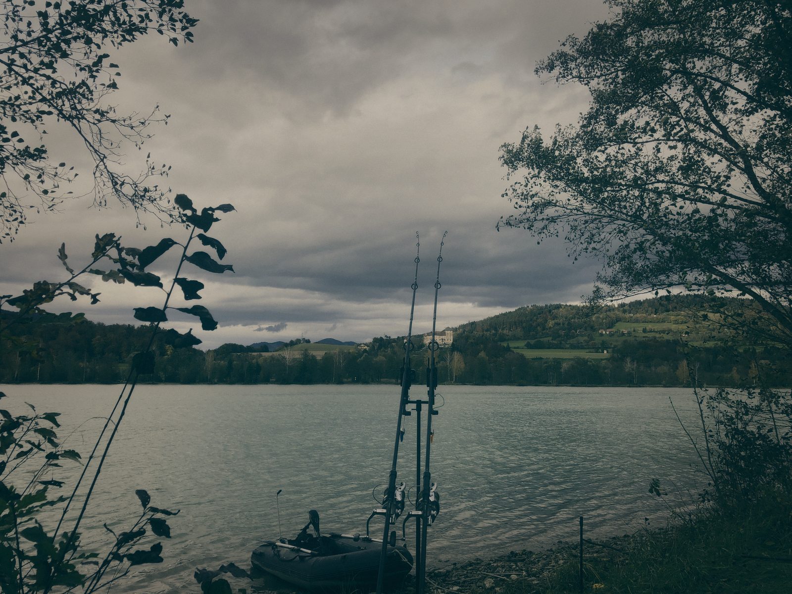 Styria Carp
