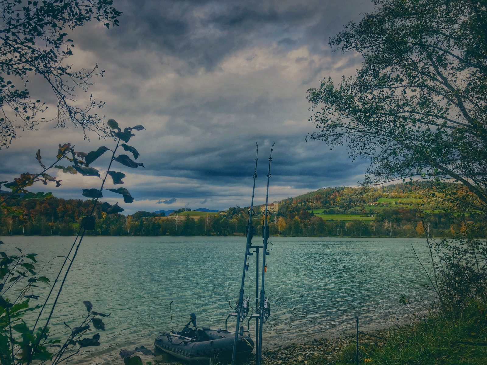 Styria Carp
