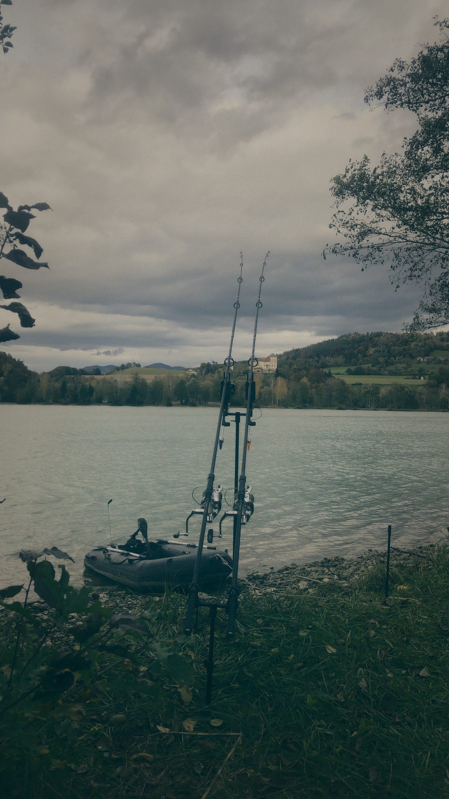 Styria Carp