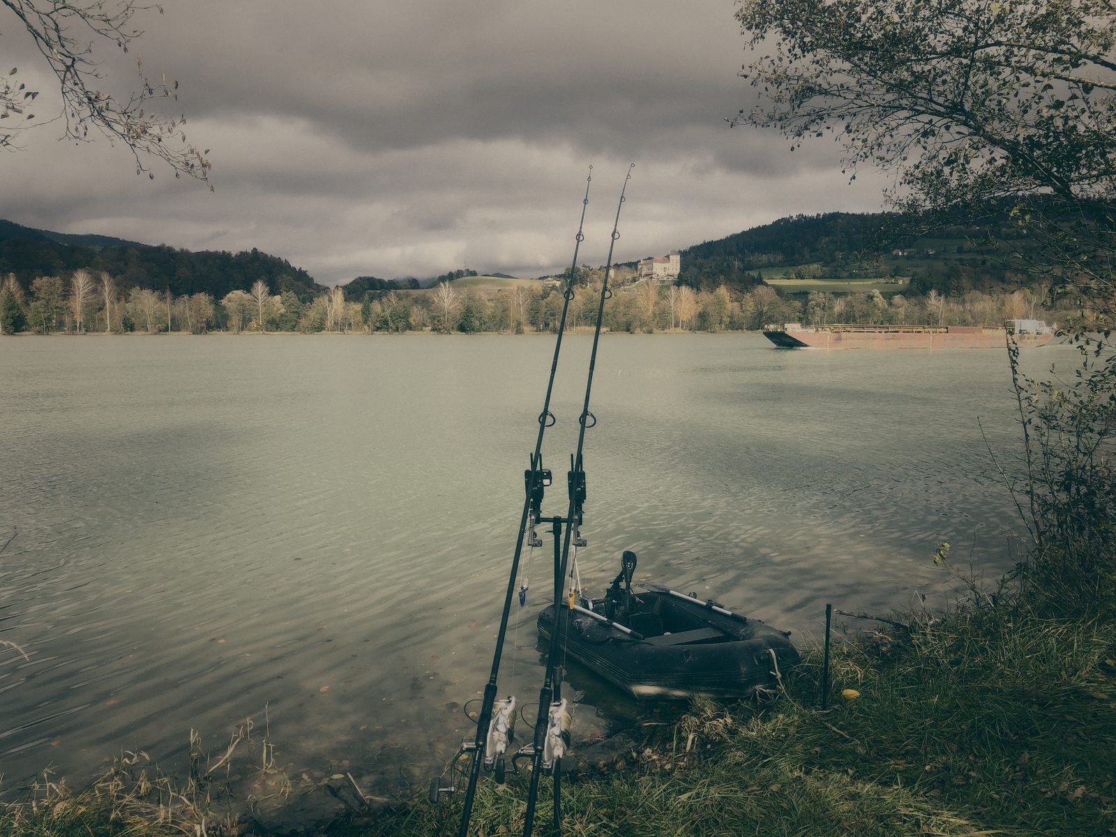 Styria Carp