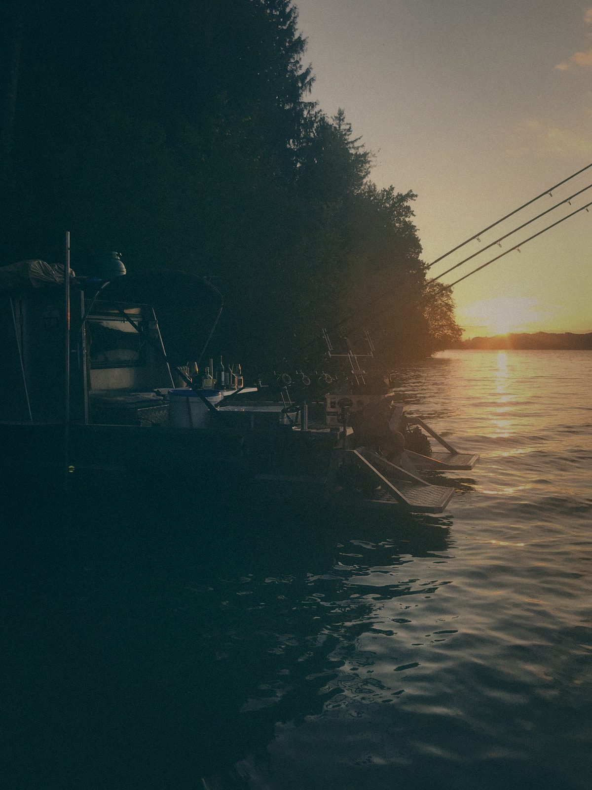Styria Carp