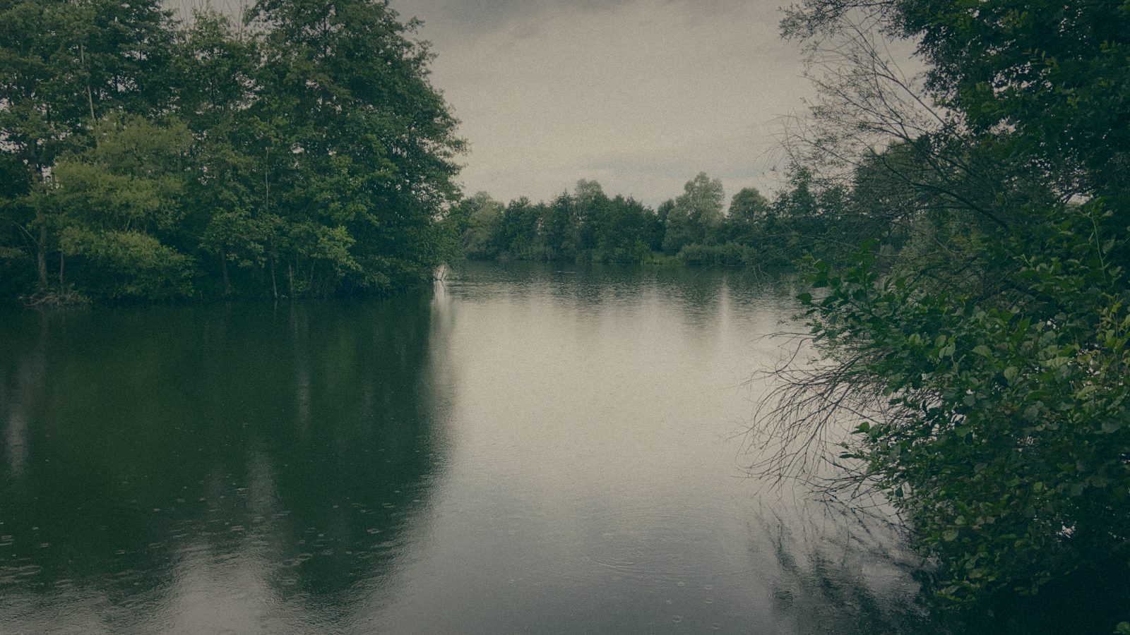 Styria Carp