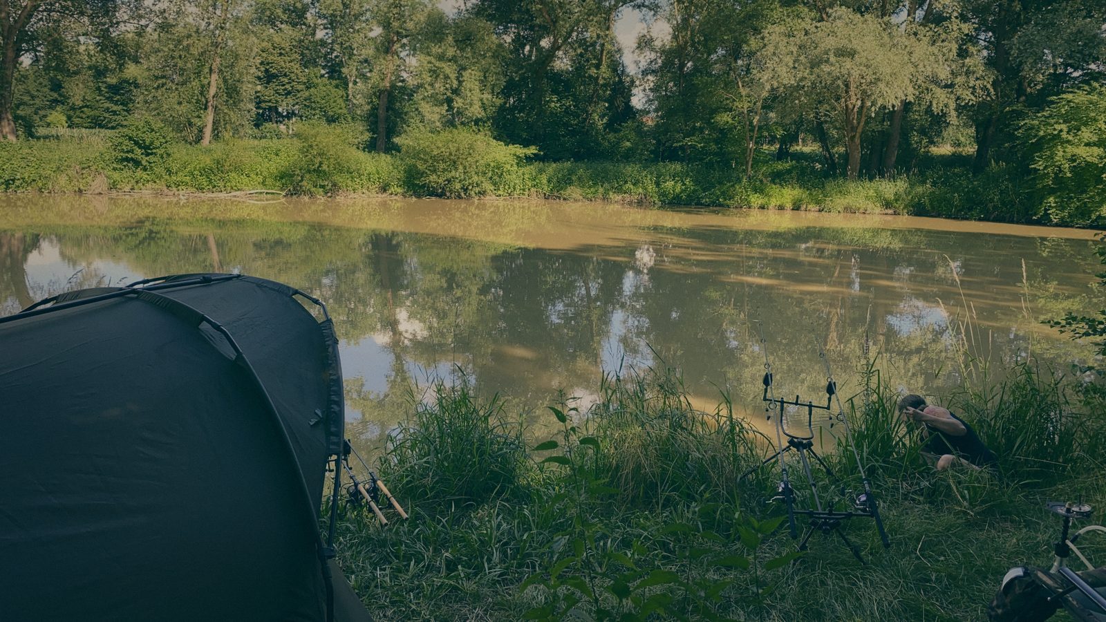 Styria Carp