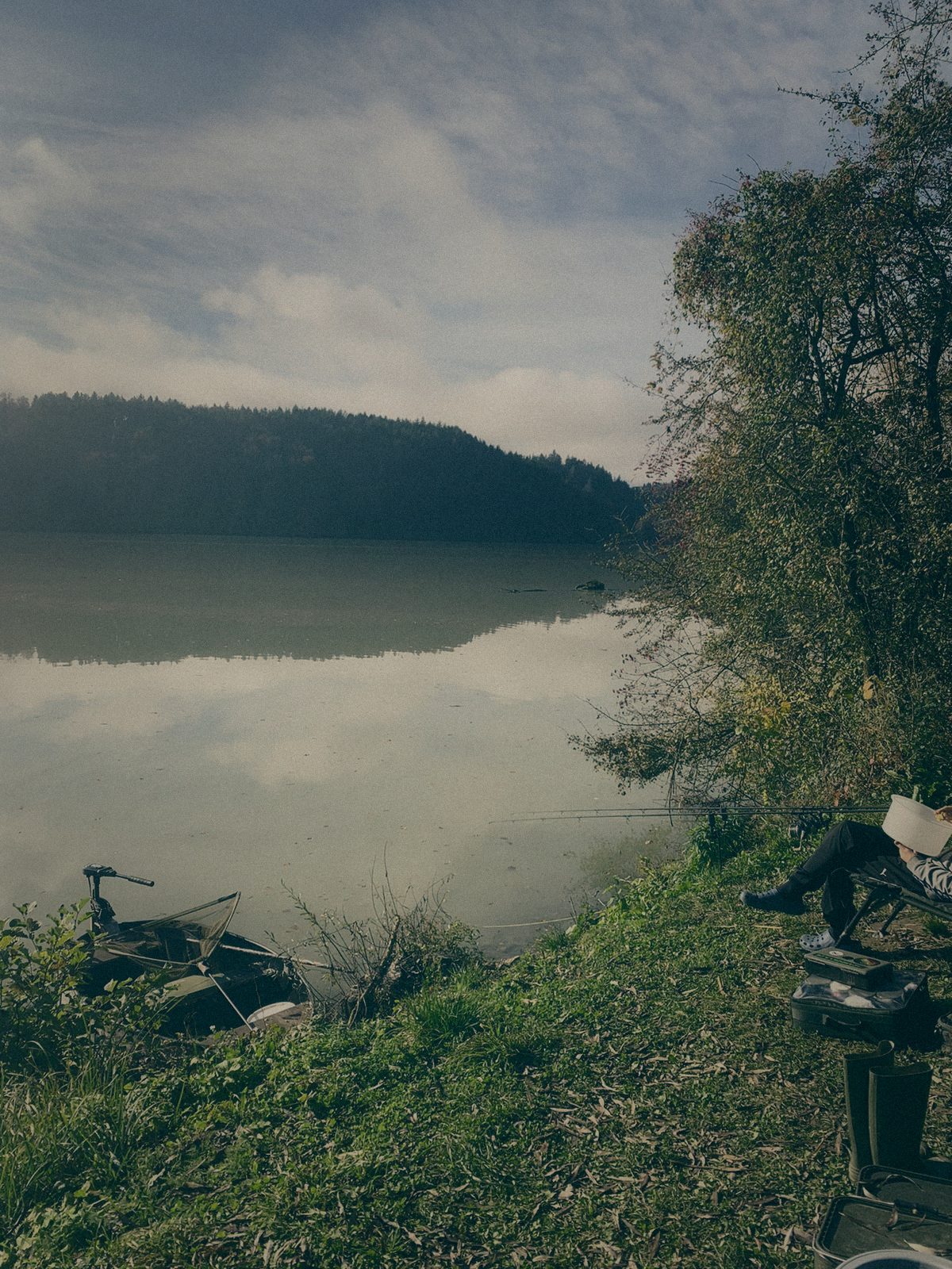 Styria Carp