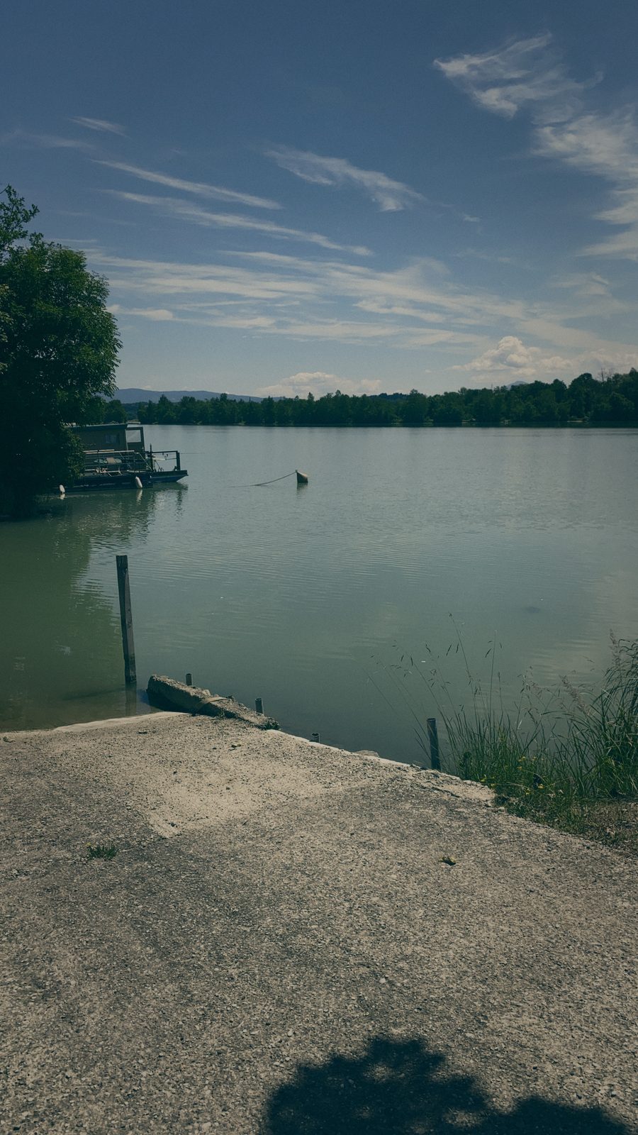 Styria Carp