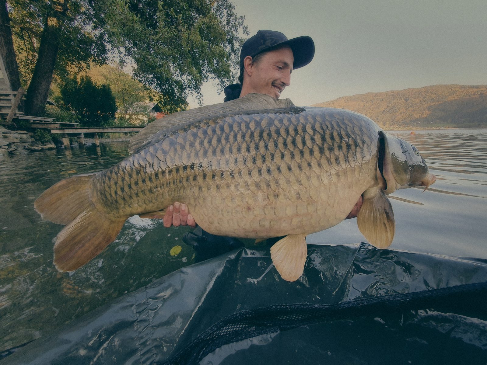 Styria Carp