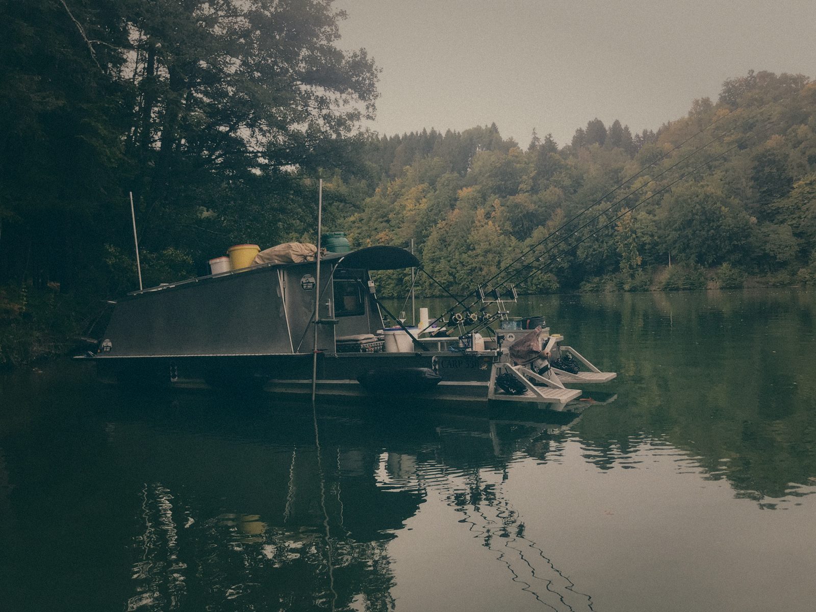 Styria Carp