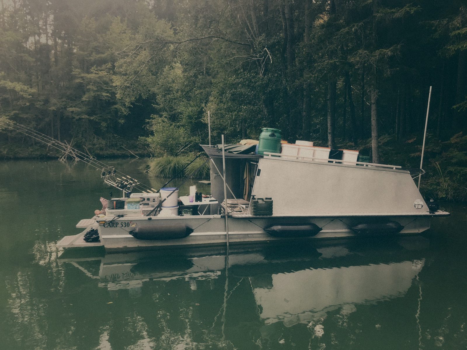 Styria Carp