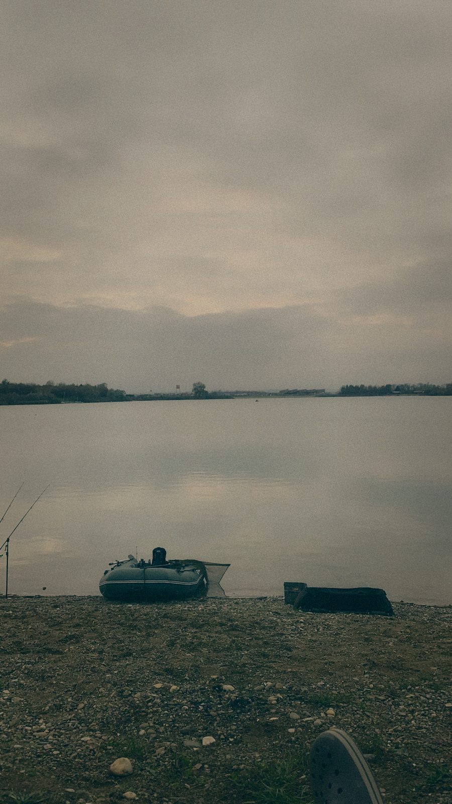 Styria Carp