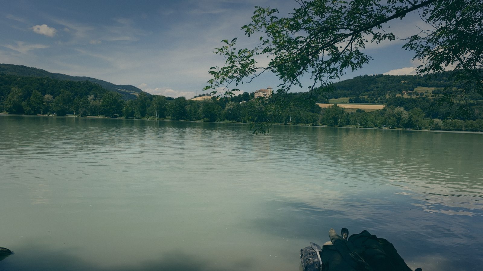 Styria Carp