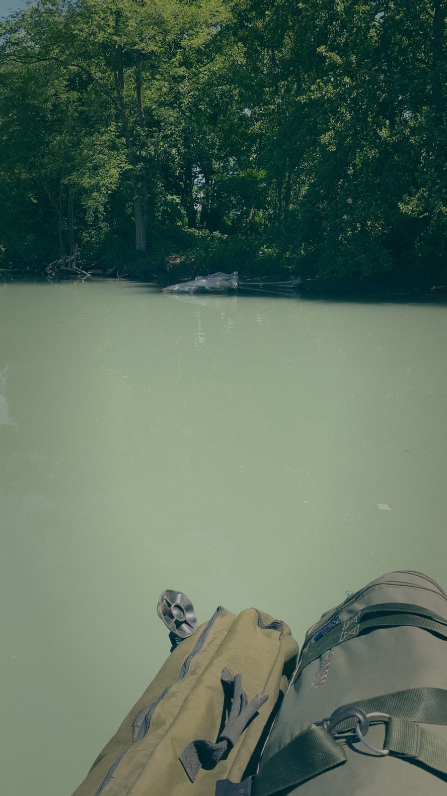 Styria Carp