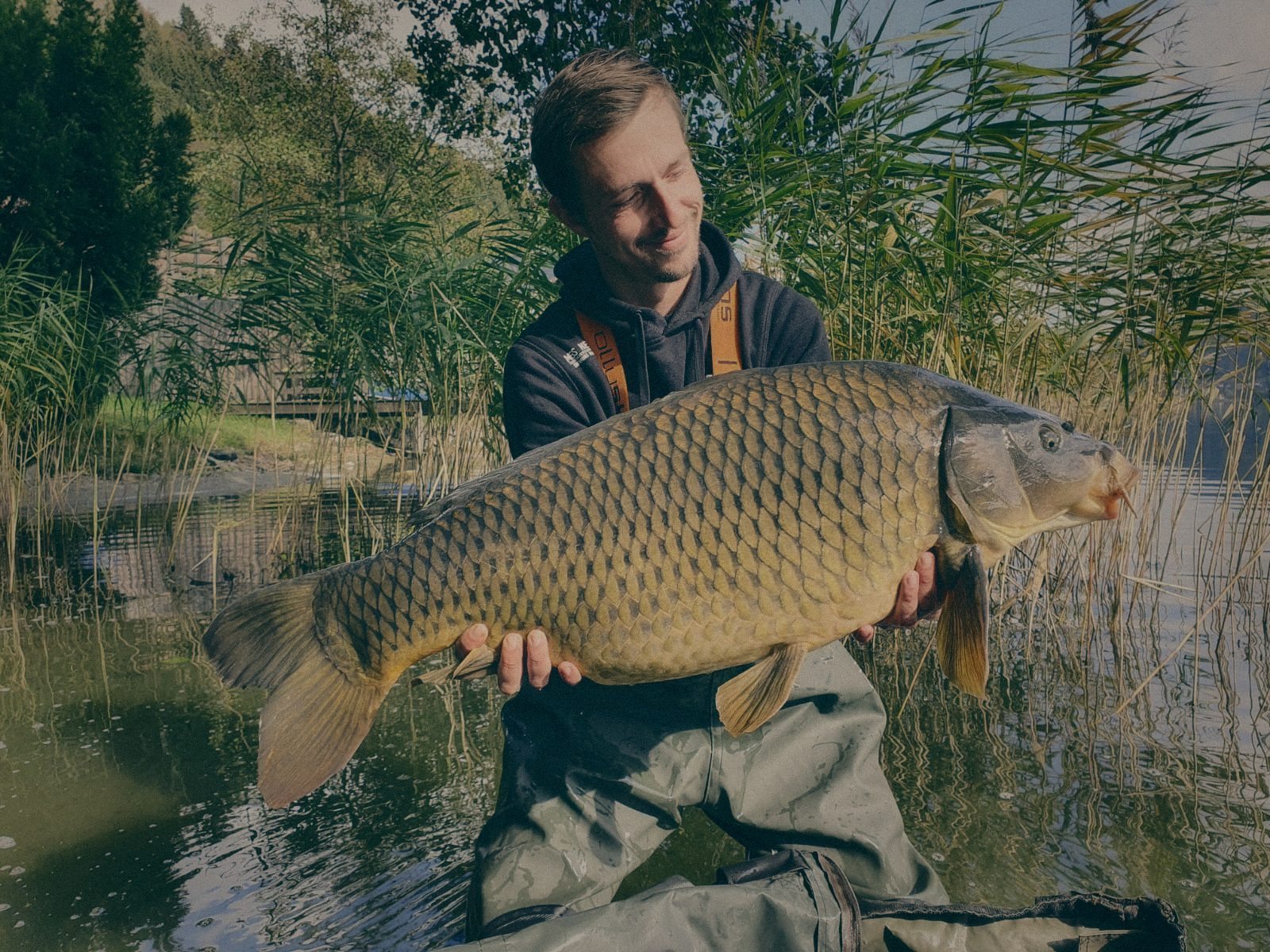 Styria Carp