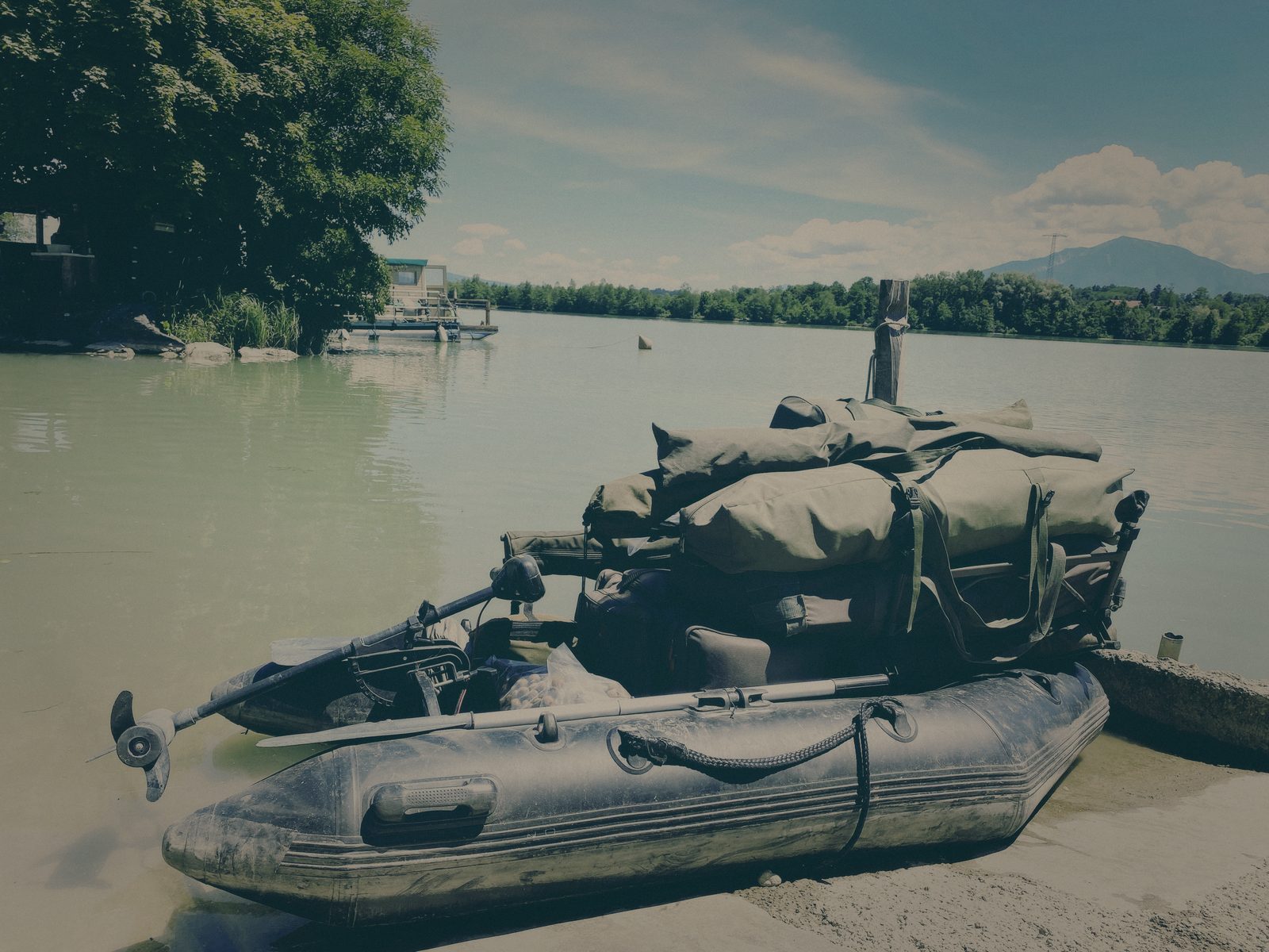 Styria Carp
