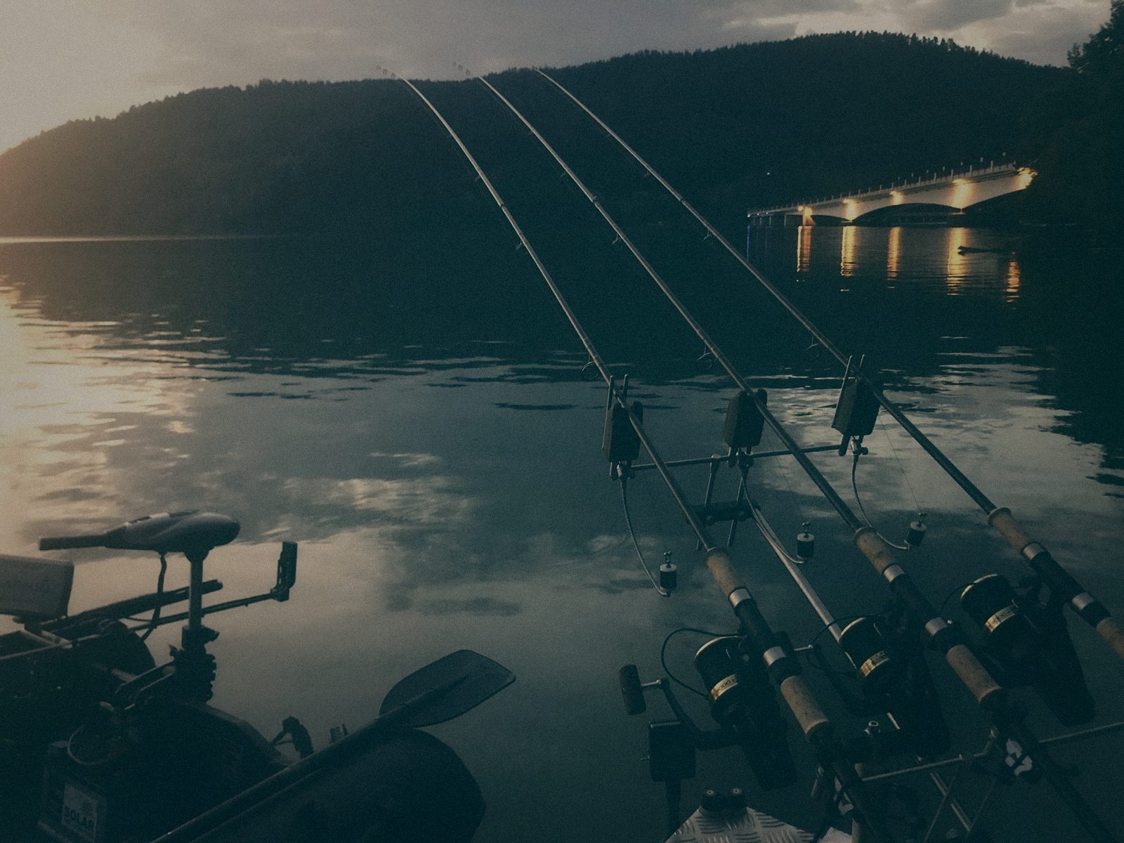 Styria Carp