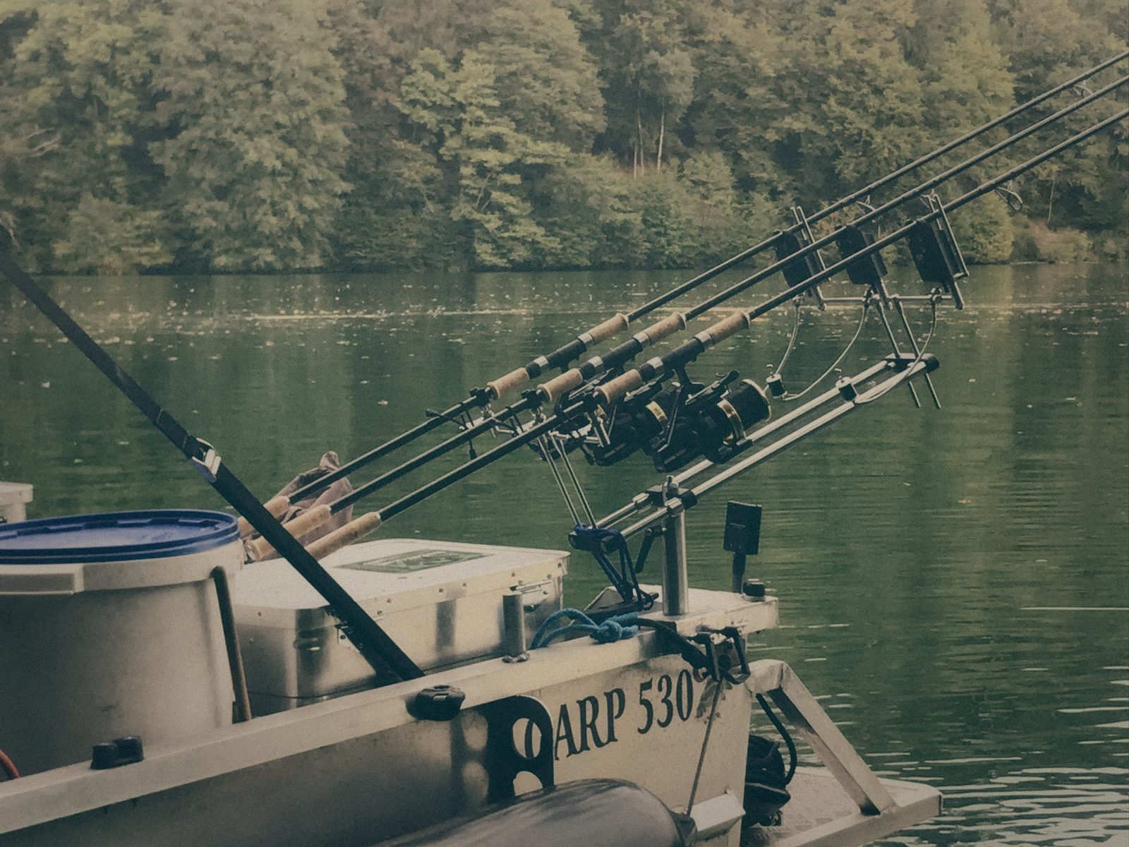Styria Carp