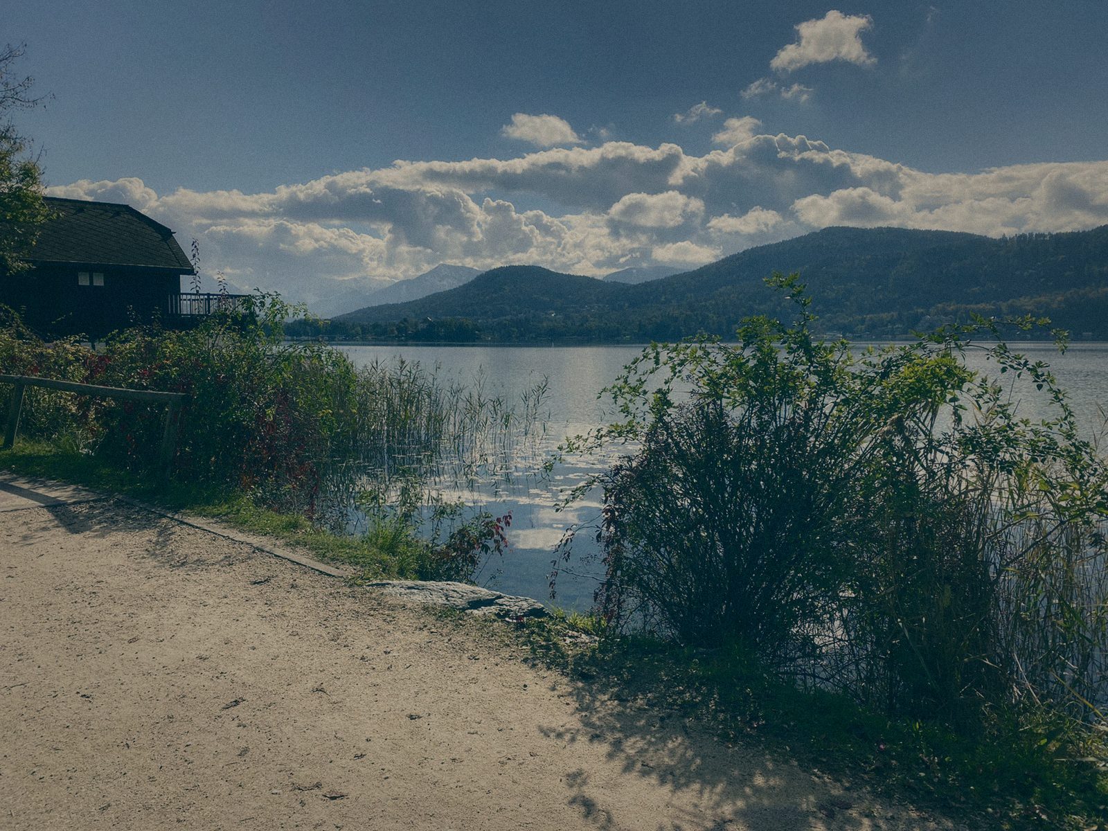 Styria Carp