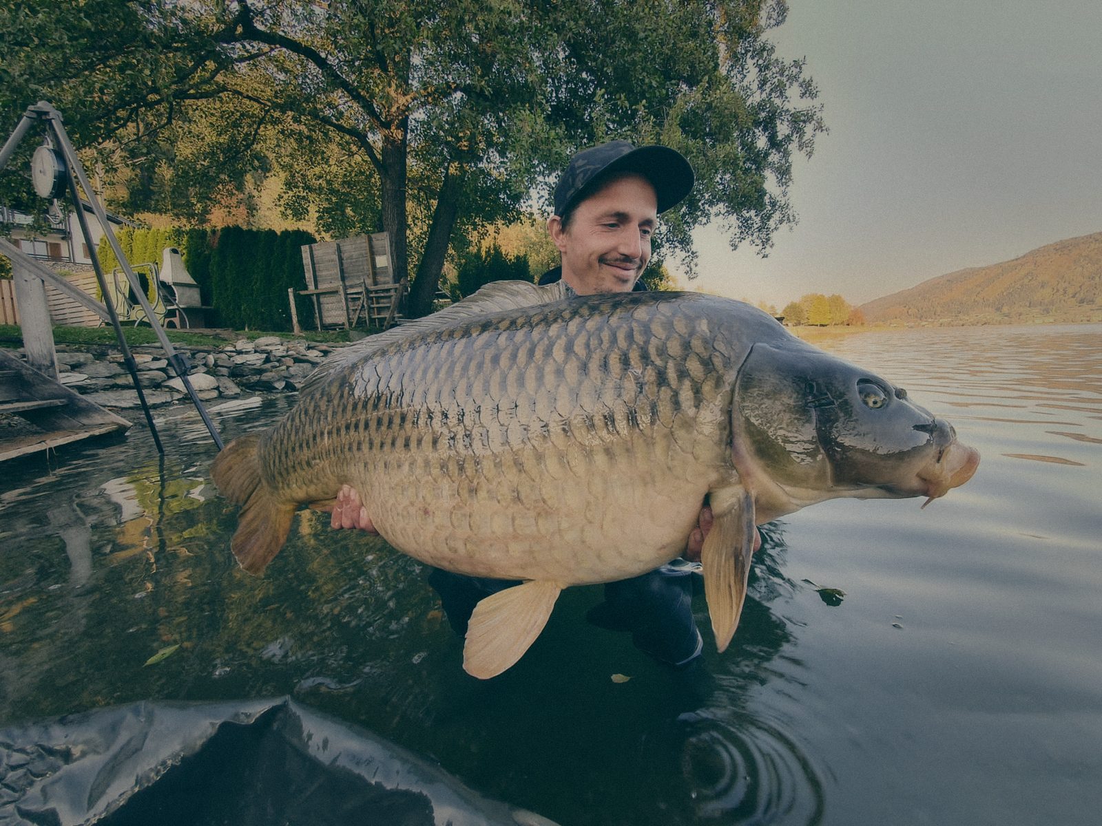 Styria Carp