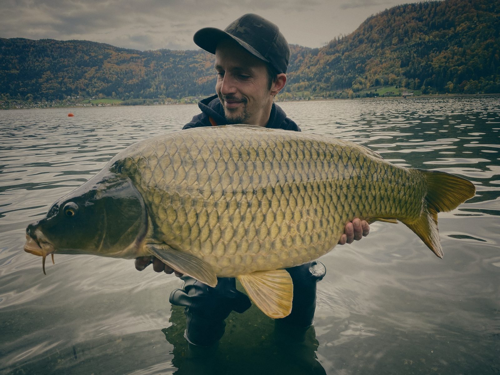 Styria Carp