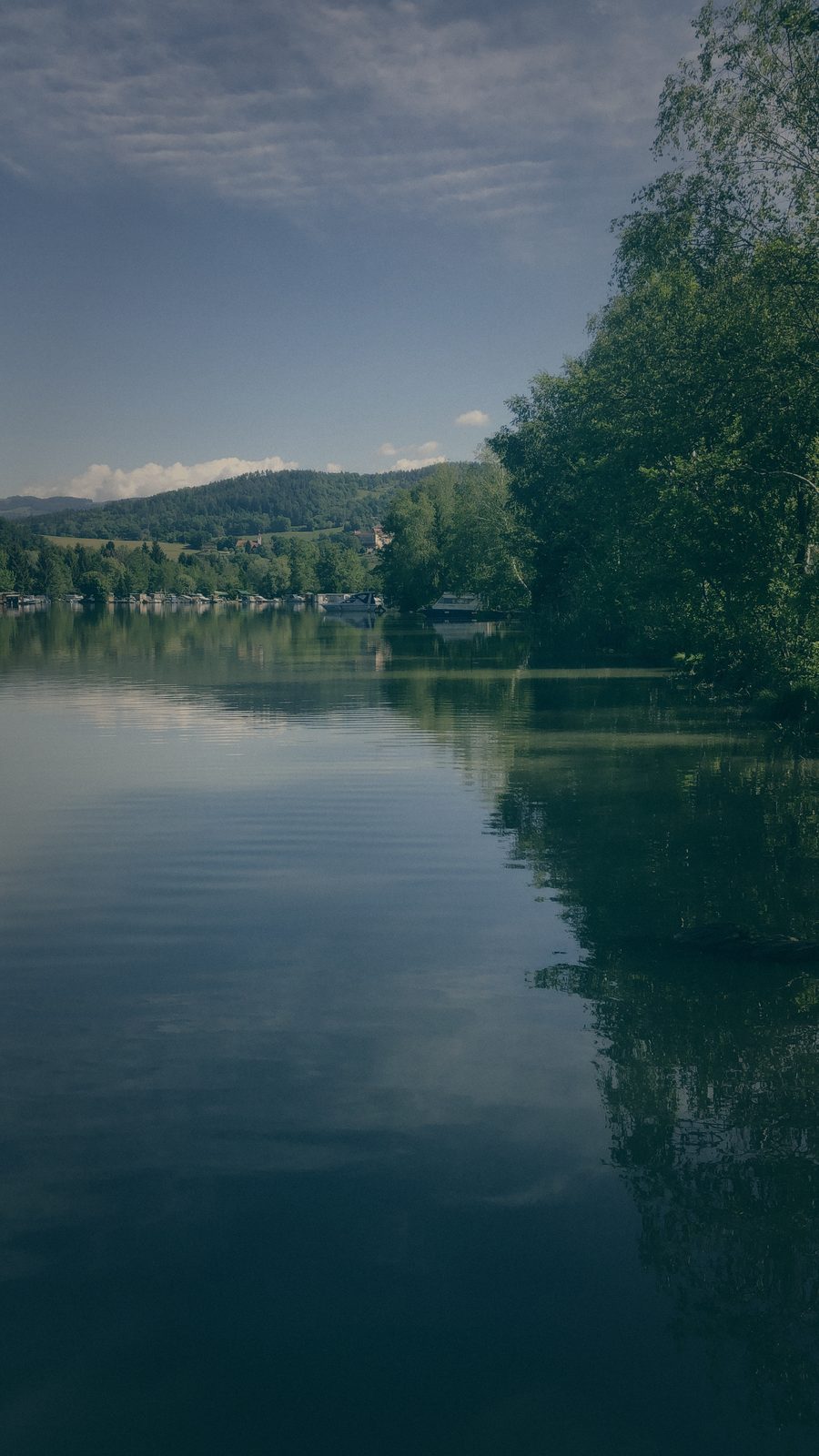 Styria Carp