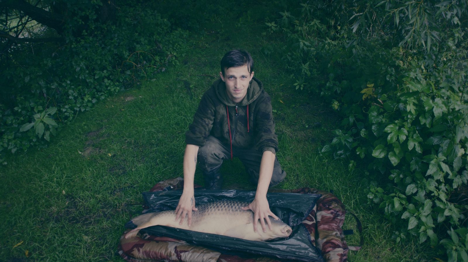 Styria Carp